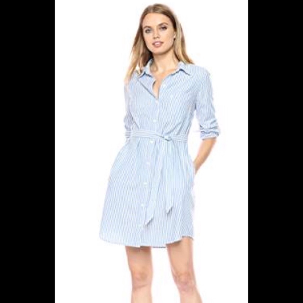 Levi Shirt Dress